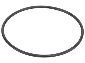 Sparex O Ring [BRANDSAVE] To fit as: 504325903 | S.179017 - Product Image 1