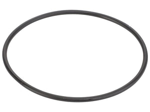 Sparex O Ring [BRANDSAVE] To fit as: 504325903 | S.179017 - Product Image 1
