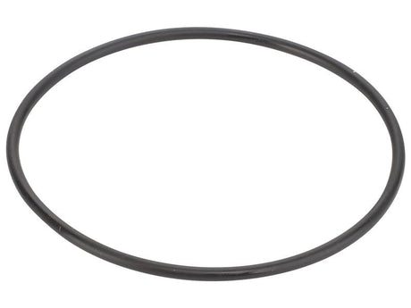 Sparex O Ring [BRANDSAVE] To fit as: 504325903 | S.179017 - Product Image 1