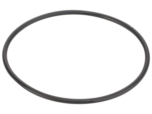 Sparex O Ring [BRANDSAVE] To fit as: 504325903 | S.179017 - Product Image 1