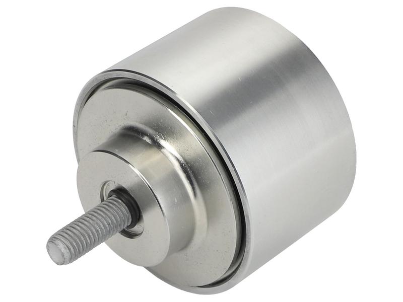 Sparex FPT Idler Pulley [BRANDSAVE] To fit as: 504088268 | S.179029 - Product Image 1