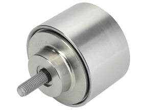 Sparex FPT Idler Pulley [BRANDSAVE] To fit as: 504088268 | S.179029 - Product Image 1