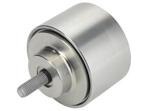 Sparex FPT Idler Pulley [BRANDSAVE] To fit as: 504088268 | S.179029 - Product Image 1