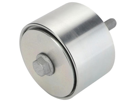 Sparex FPT Idler Pulley [BRANDSAVE] To fit as: 504088268 | S.179029 - Product Image 2