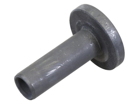 Sparex Tappet [BRANDSAVE] To fit as: 4899803 | S.179044 - Product Image 1