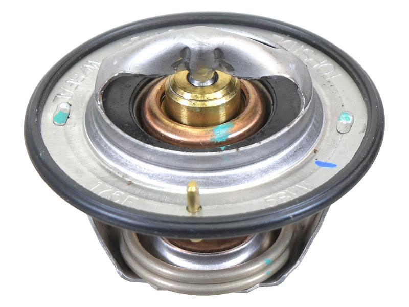Sparex Thermostat [BRANDSAVE] To fit as: 504384724 | S.179046 - Product Image 1