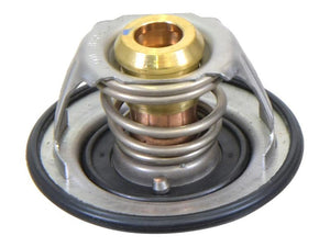Sparex Thermostat [BRANDSAVE] To fit as: 504380075 | S.179047 - Product Image 2