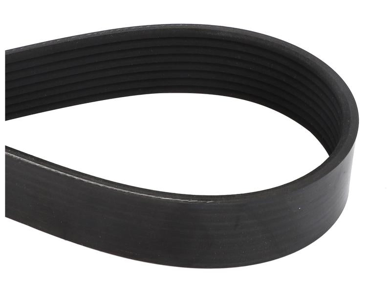 Sparex Drive Belt [BRANDSAVE] To fit as: 504009874 | S.179061 - Product Image 1
