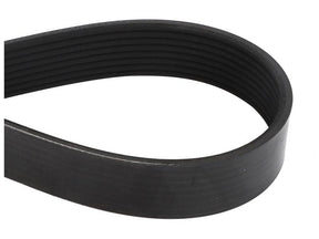 Sparex Drive Belt [BRANDSAVE] To fit as: 504009874 | S.179061 - Product Image 1