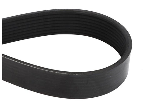 Sparex Drive Belt [BRANDSAVE] To fit as: 504009874 | S.179061 - Product Image 1