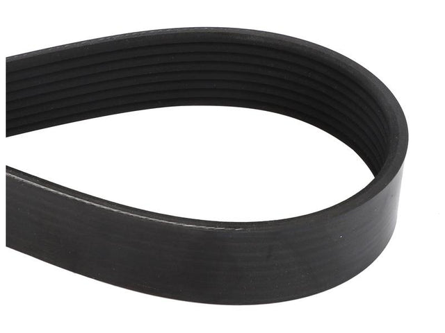 Sparex Drive Belt [BRANDSAVE] To fit as: 504009874 | S.179061 - Product Image 1
