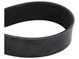 Sparex Drive Belt [BRANDSAVE] To fit as: 5802377703 | S.179064 - Product Image 1