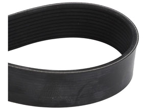 Sparex Drive Belt [BRANDSAVE] To fit as: 5802377703 | S.179064 - Product Image 1
