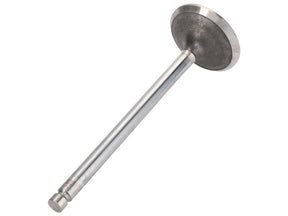 Sparex Exhaust Valve [BRANDSAVE] To fit as: 4895188 | S.179104 - Product Image 1