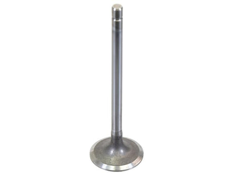 Sparex Inlet Valve [BRANDSAVE] To fit as: 504387778 | S.179131 - Product Image 1