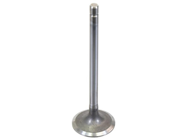 Sparex Inlet Valve [BRANDSAVE] To fit as: 504387778 | S.179131 - Product Image 1