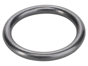 Sparex O Ring [BRANDSAVE] To fit as: 4890926 | S.179159 - Product Image 1