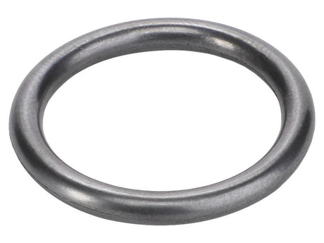 Sparex O Ring [BRANDSAVE] To fit as: 4890926 | S.179159 - Product Image 1