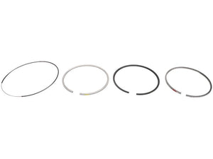 Sparex Piston & Ring Set [BRANDSAVE] To fit as: 8094324 | S.179162 - Product Image 1