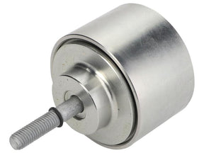 Sparex FPT Idler Pulley [BRANDSAVE] To fit as: 504088269 | S.179168 - Product Image 1