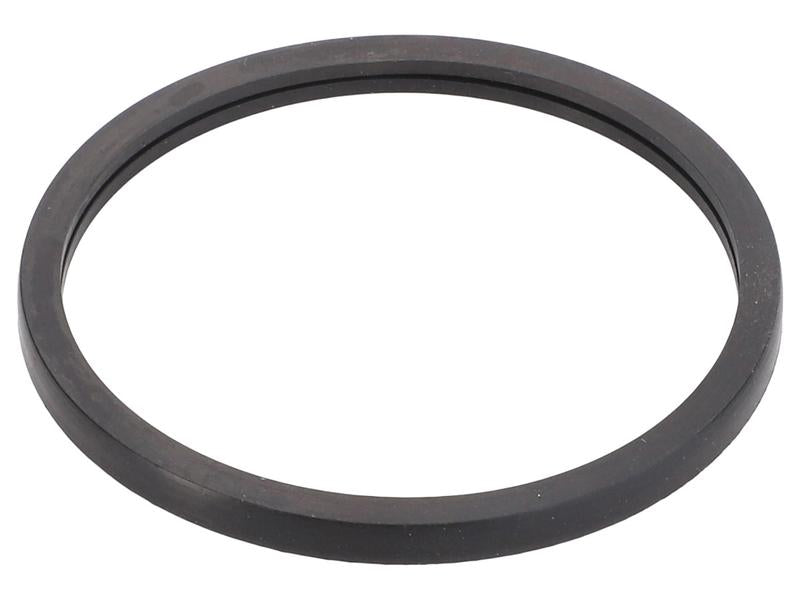Sparex Thermostat Gasket [BRANDSAVE] To fit as: 504030960 | S.179173 - Product Image 1
