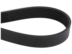 Sparex Drive Belt [BRANDSAVE] To fit as: 5801440074 | S.179198 - Product Image 1