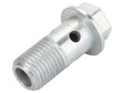 Sparex Banjo Bolt [BRANDSAVE] To fit as: 504266555 | S.179207 - Product Image 1