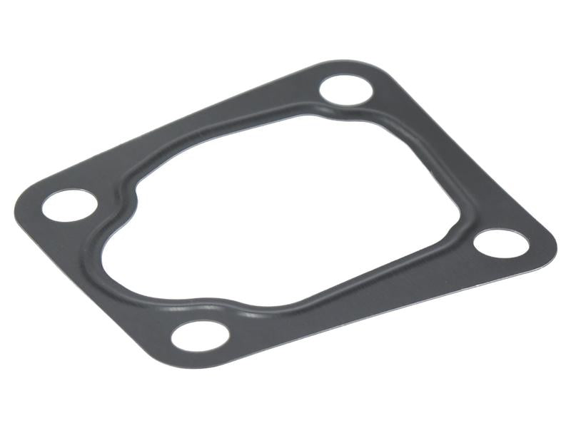 Sparex Thermostat Gasket [BRANDSAVE] To fit as: 504164205 | S.179244 - Product Image 1