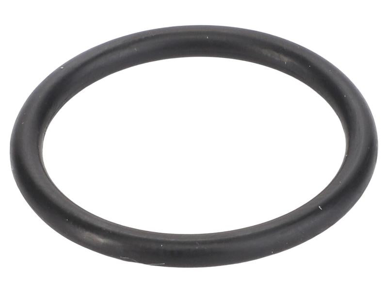 Sparex O Ring [BRANDSAVE] To fit as: 17282280 | S.179323 - Product Image 1