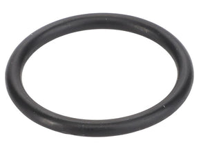 Sparex O Ring [BRANDSAVE] To fit as: 17282280 | S.179323 - Product Image 1