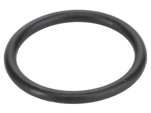 Sparex O Ring [BRANDSAVE] To fit as: 17282280 | S.179323 - Product Image 1