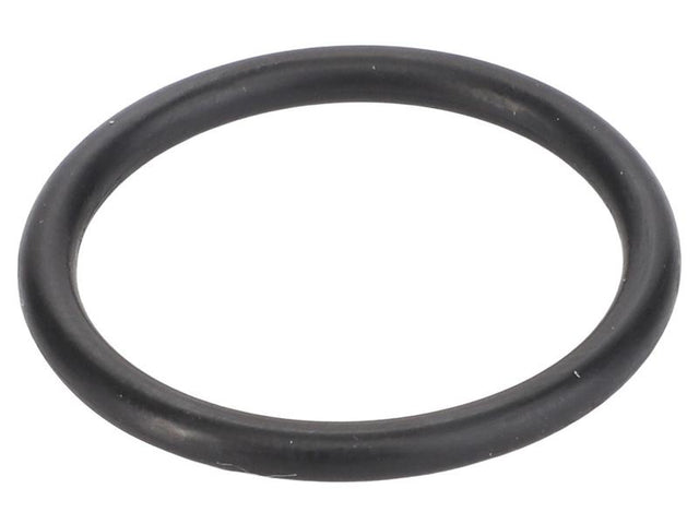 Sparex O Ring [BRANDSAVE] To fit as: 17282280 | S.179323 - Product Image 1