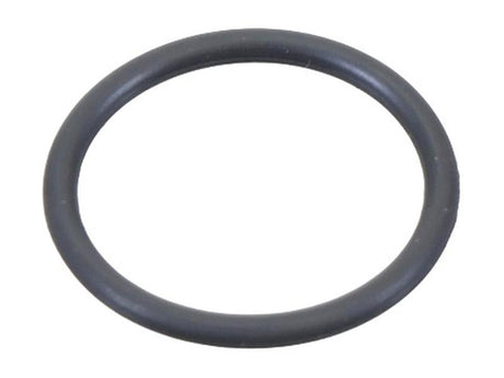 Sparex O Ring [BRANDSAVE] To fit as: 42583991 | S.179329 - Product Image 1