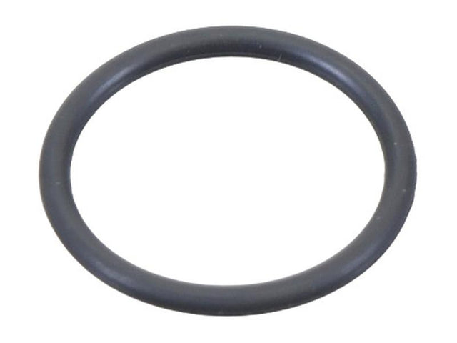 Sparex O Ring [BRANDSAVE] To fit as: 42583991 | S.179329 - Product Image 1