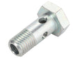 Sparex Banjo Bolt [BRANDSAVE] To fit as: 5801865510 | S.179360 - Product Image 1