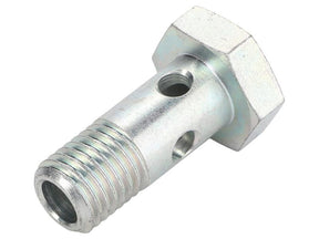 Sparex Banjo Bolt [BRANDSAVE] To fit as: 5801865510 | S.179360 - Product Image 1