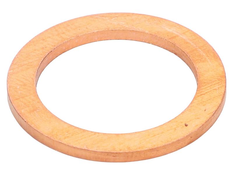 Sparex Washer [BRANDSAVE] To fit as: 4858609 | S.179362 - Product Image 1
