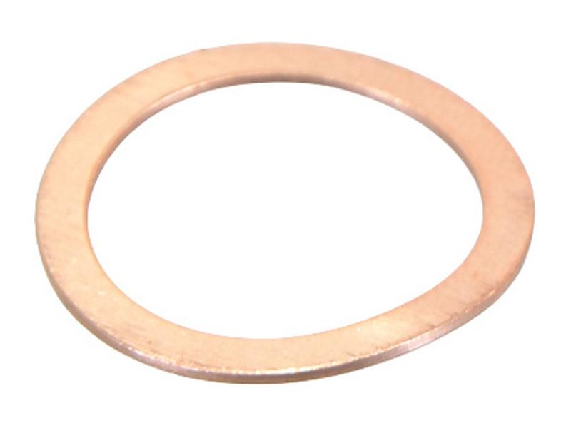 Sparex Washer [BRANDSAVE] To fit as: 10263360 | S.179364 - Product Image 1