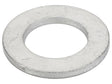 Sparex Lock washer [BRANDSAVE] To fit as: 17096014 | S.179406 - Product Image 1