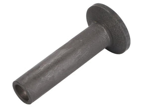 Sparex Tappet [BRANDSAVE] To fit as: 5801693154 | S.179409 - Product Image 1