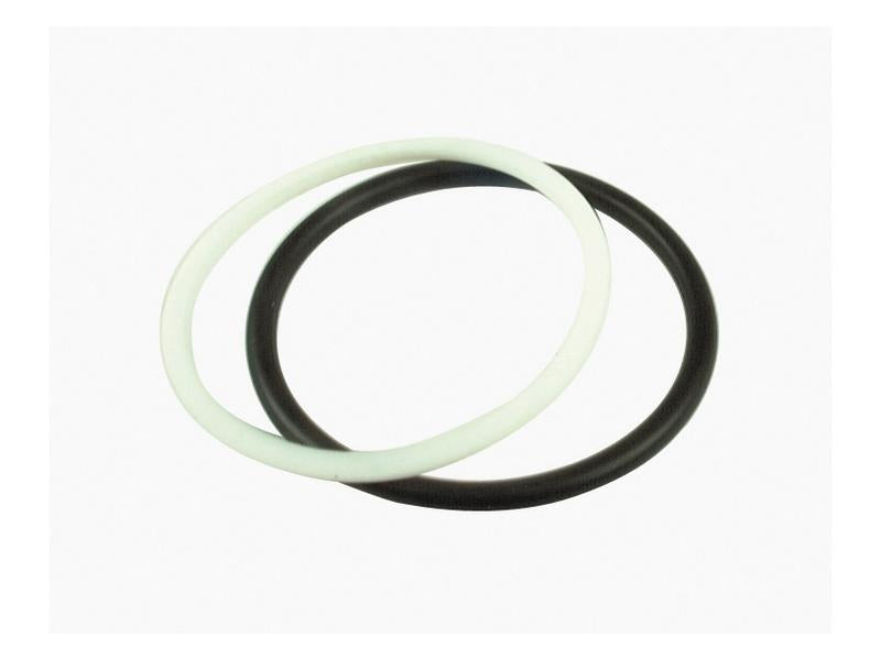 Seal Repair Kits for Quick Release Couplings 1'' (Fits: S.8631) | Sparex Part Number: S.18102