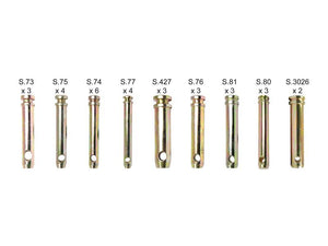 Kit - Shear Pins - 31 pcs. pcs. | Sparex Part Number: S.23386