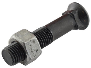 A Round Countersunk Square Hex Bolt & Nut (TFCC) - M12 x 45mm, with a tensile strength of 8.8 (available in a 12-piece Agripak) from Sparex, resembling the precision engineering of a metric bolt, has its hexagonal nut partially screwed onto its threads.