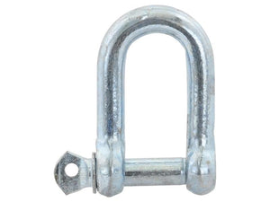 Sparex Screw Type D Shackle Heavy-Duty 10mm Pin 18mm Jaw | S.2766