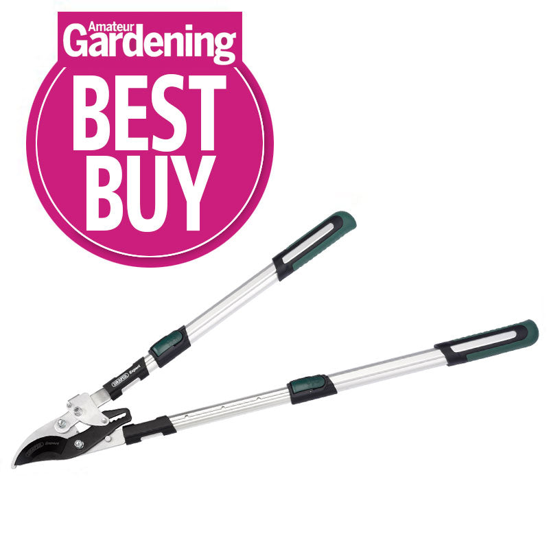 Image of Draper Expert Telescopic Soft Grip Bypass Ratchet Action Loppers With Aluminium Handles - GBLS/EXPG from Draper, featuring green and black handles with non-stick coated blades. A pink circular badge at the top left corner displays "Amateur Gardening BEST BUY.