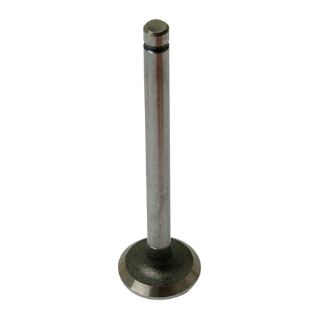 Exhaust Valve Standard
 - S.40483 - Farming Parts