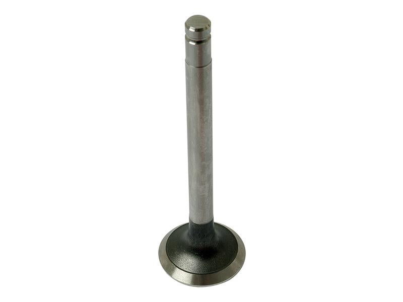 Exhaust Valve +0.015'' (0.38mm) | Sparex Part Number: S.40493