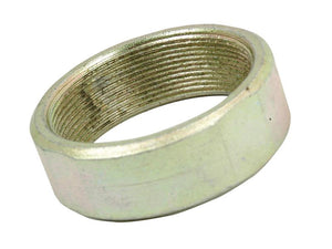 Sparex Lock Nut Pinion Shaft for Massey Ferguson Rear Axle | S.42023