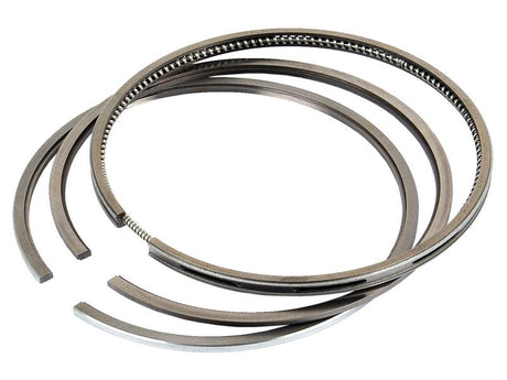 Sparex Piston Ring | S.4941401 - Product Image 1