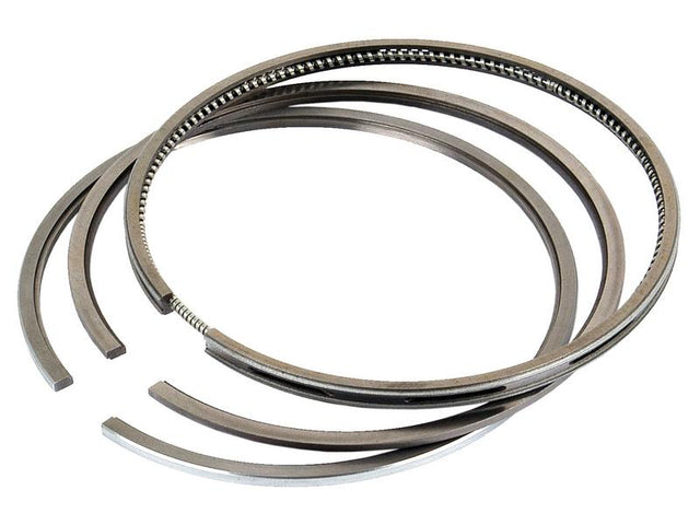 Sparex Piston Ring | S.4941401 - Product Image 1